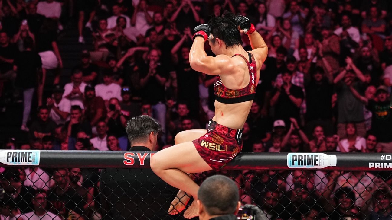 的交流中 的交流中