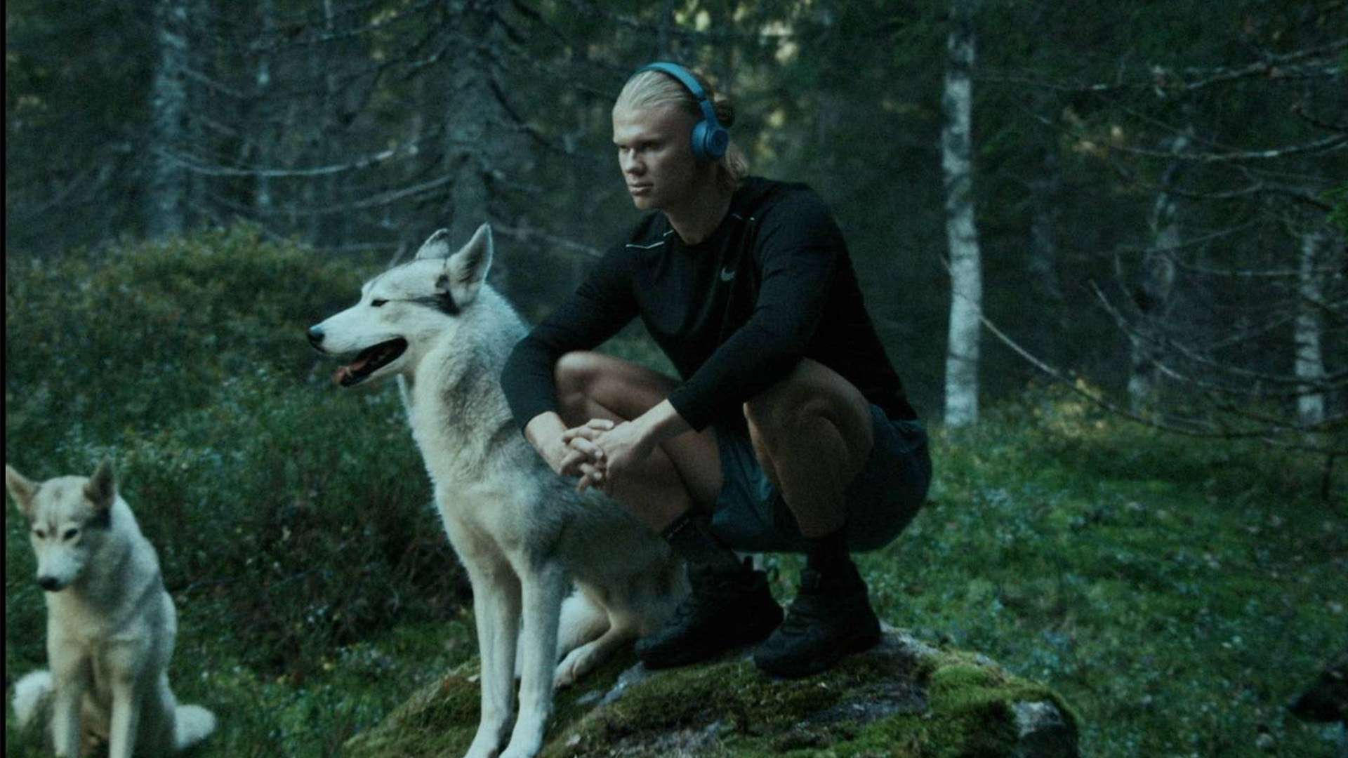 内老将带来 内老将带来