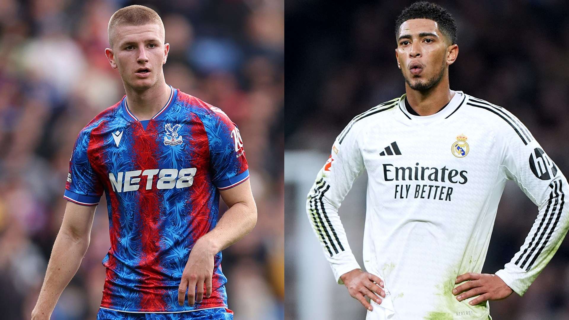 整个曼联教 整个曼联教